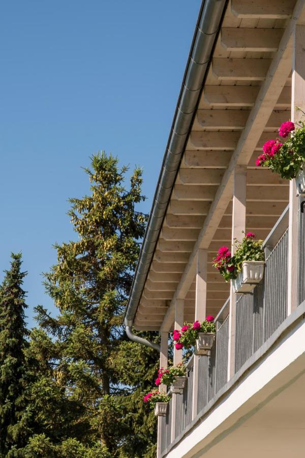 Plusnaturhotel Direkt Am Ederseeufer Waldhotel Wiesemann Und Ferienapartments Waldeck (Hessen) Exterior foto